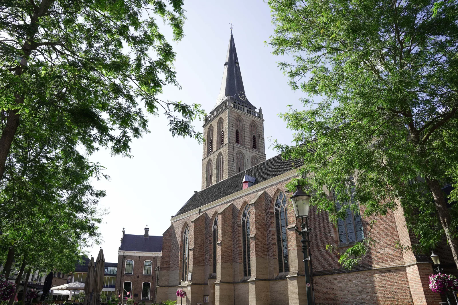 De toren van de Gudulakerk tussen de bomen