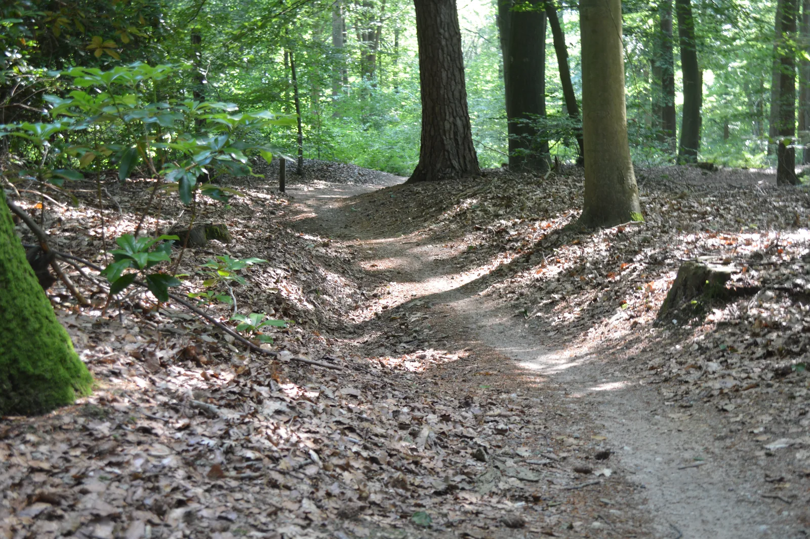 Smal pad langs de mountainbikeroute op de Lochemse Berg