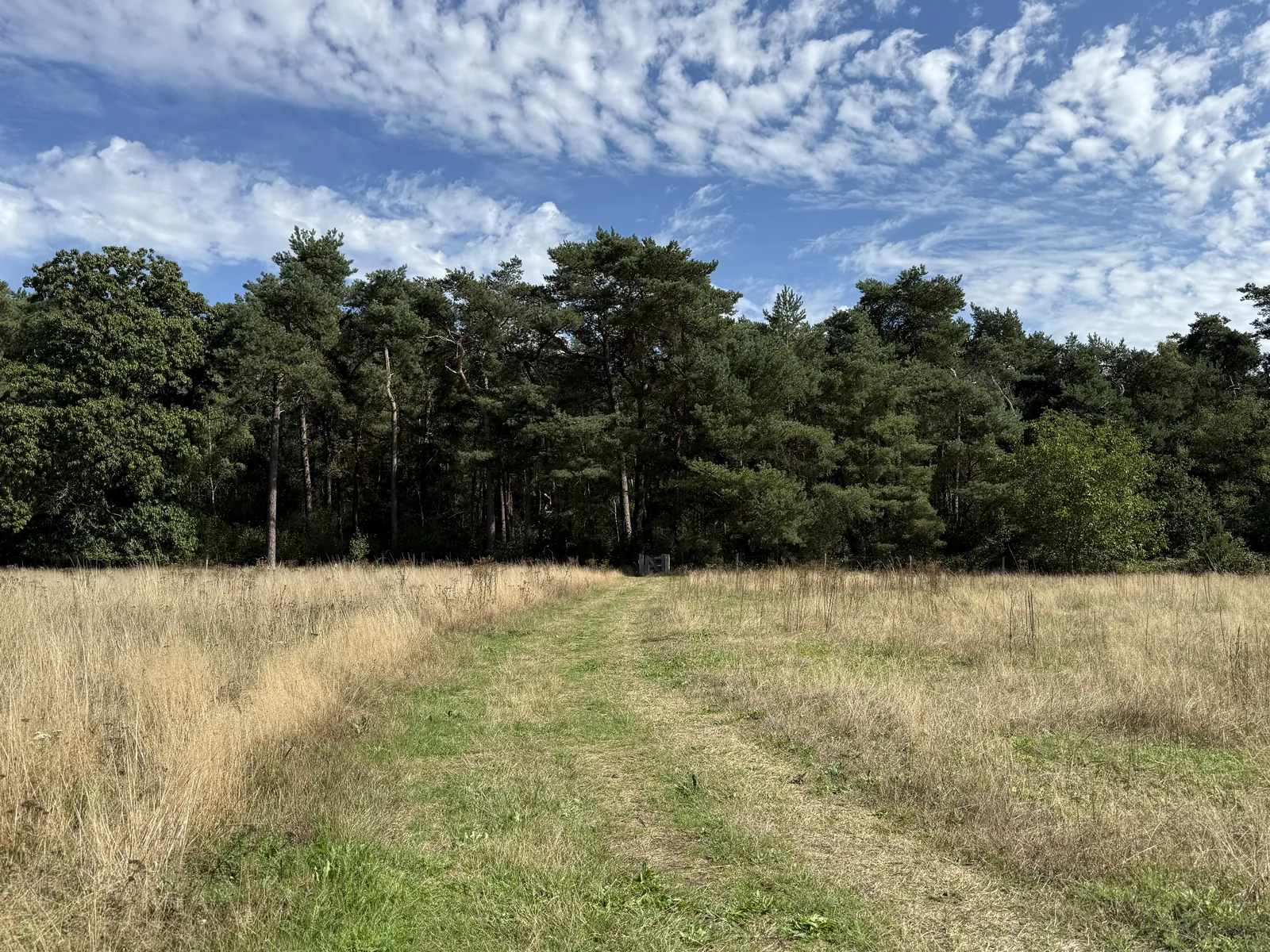 Het Grote Veld
