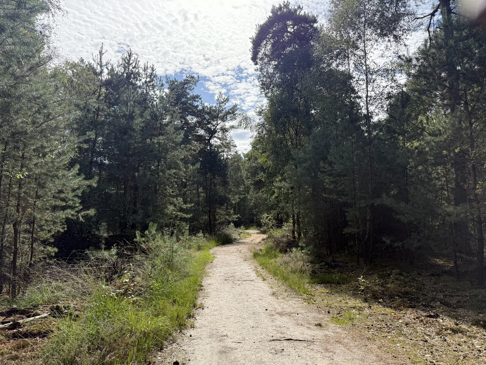 Wandern im Grote Veld und rund um den Lochemse Berg