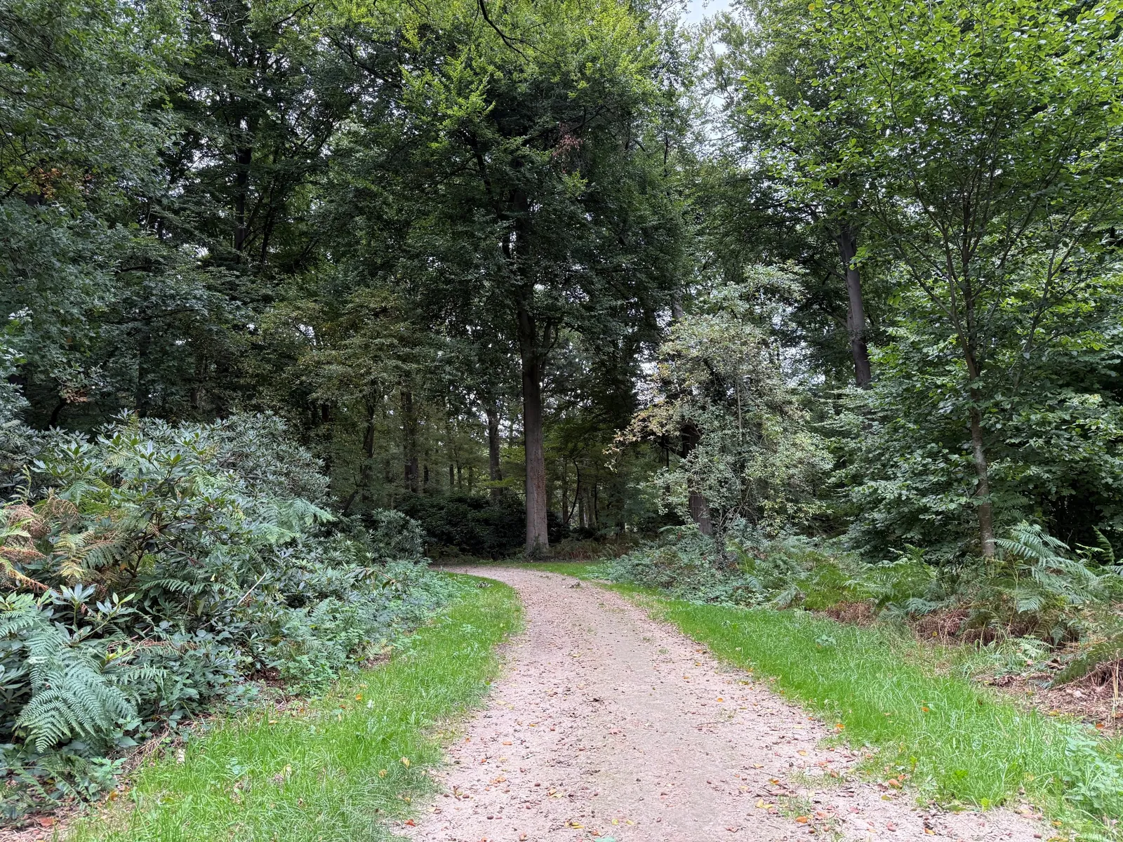 Lochem · Achterhoek