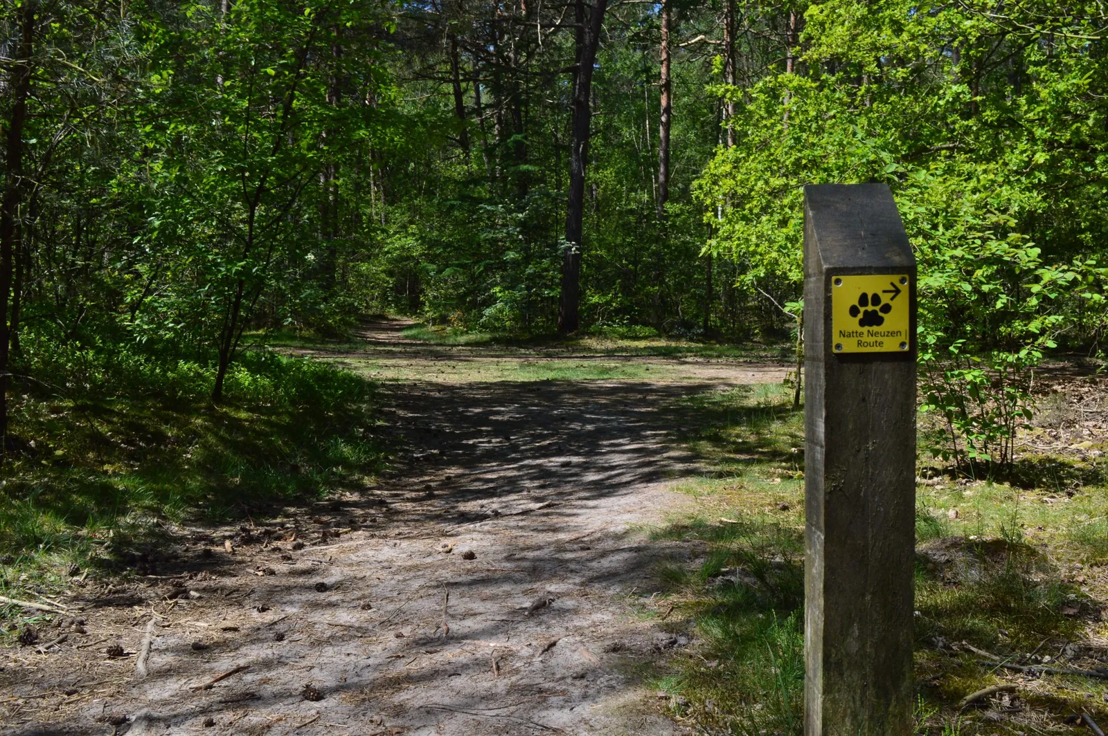 Natte Neuzen Route door het Drents-Friese Wold